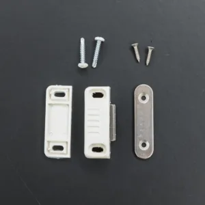 Magnet